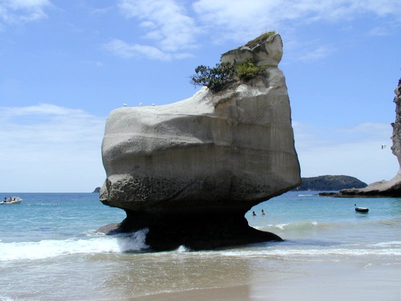 [Cathedral Cove]